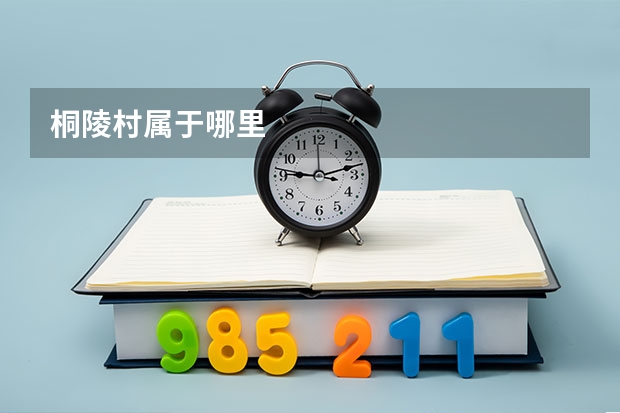 桐陵村属于哪里