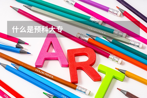 什么是预科大专