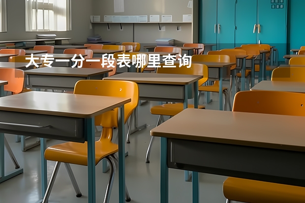 大专一分一段表哪里查询