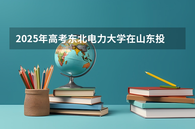 2025年高考东北电力大学在山东投档分数线是多少