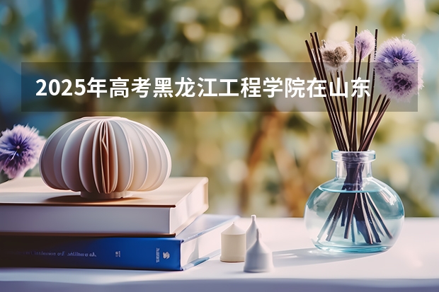2025年高考黑龙江工程学院在山东投档分数线是多少