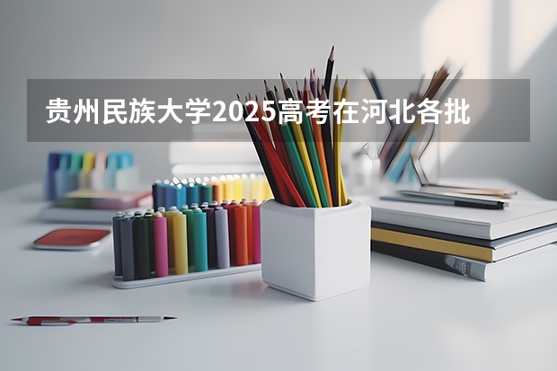 贵州民族大学2025高考在河北各批次选科要求