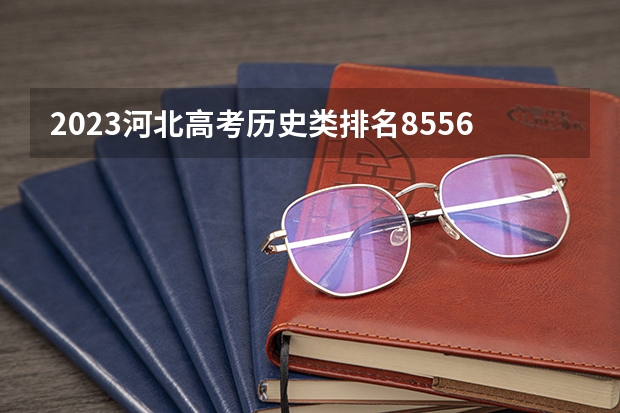 2023河北高考历史类排名85564的考生报哪所大学 往年录取分数线